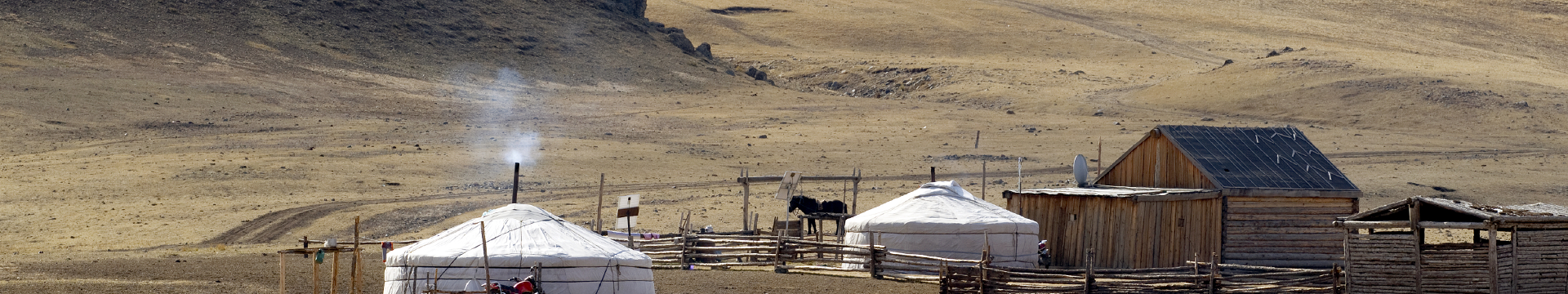 Niezwykła przyroda czy ciepłe kapcie? Wiza do Mongolii | Serwis